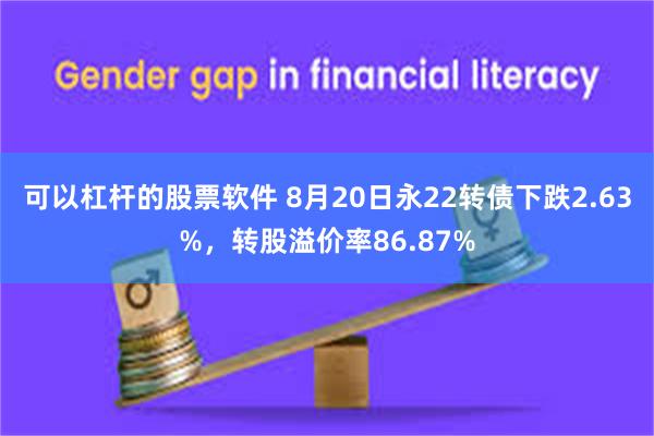 可以杠杆的股票软件 8月20日永22转债下跌2.63%，转股溢价率86.87%